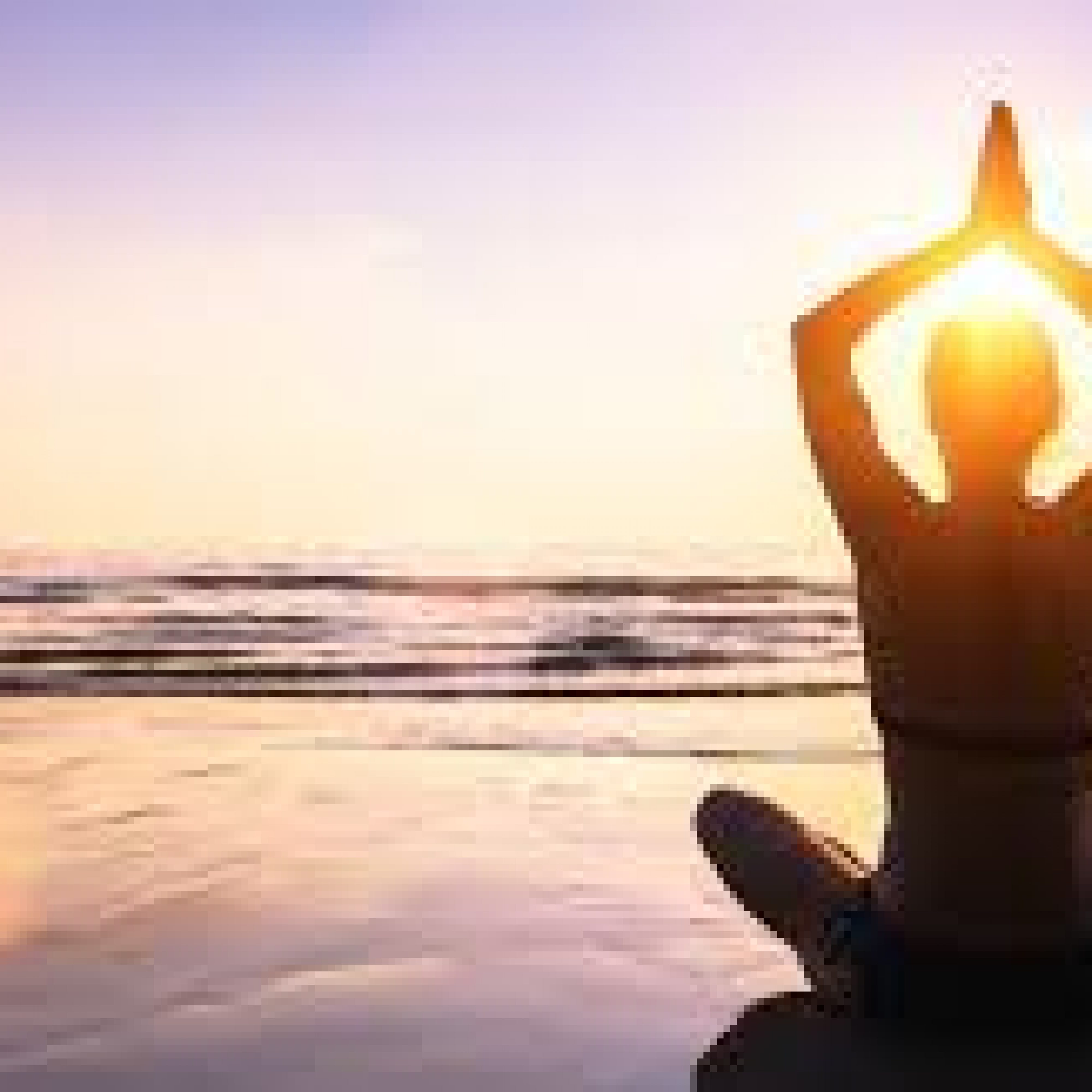 wellness wellness
